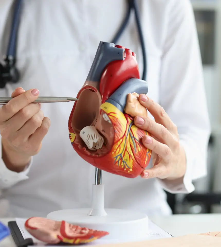 Cardiologist