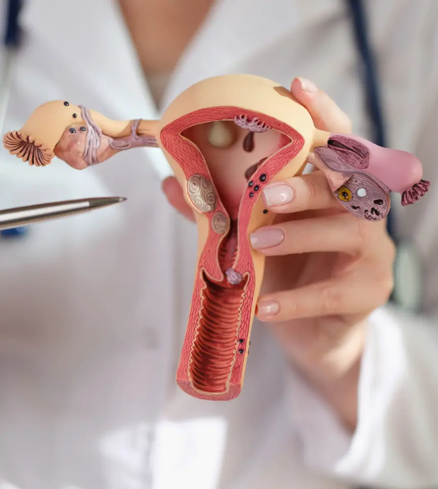 Gynecologist
